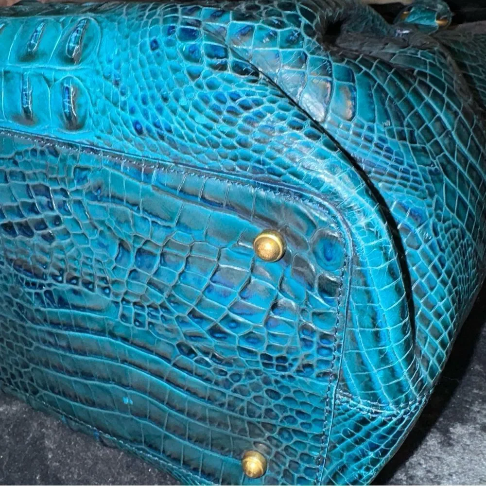 Brahmin good comfortable